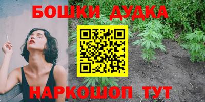 мяу мяу мука Новозыбков