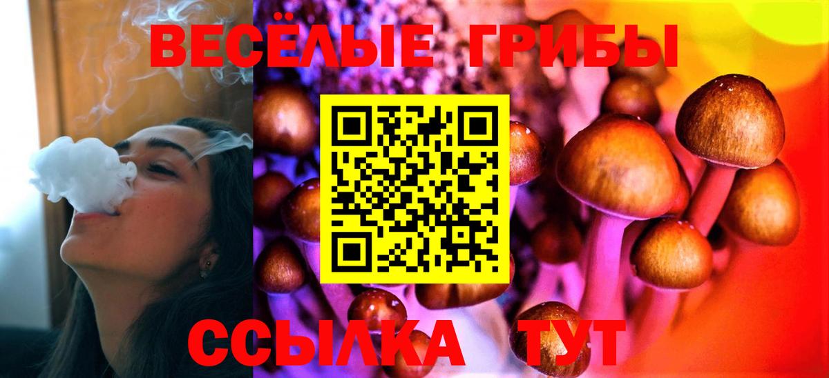 купить наркоту  Вход с VPN  Сунжа  Галлюциногенные грибы Cubensis  Псилоцибиновые грибы Psilocybe 